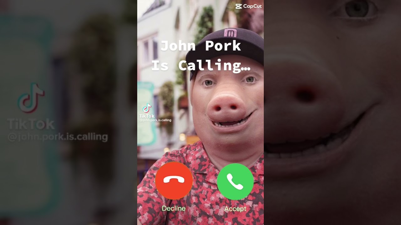John pork is calling&hellip; #tiktok #funny #meme