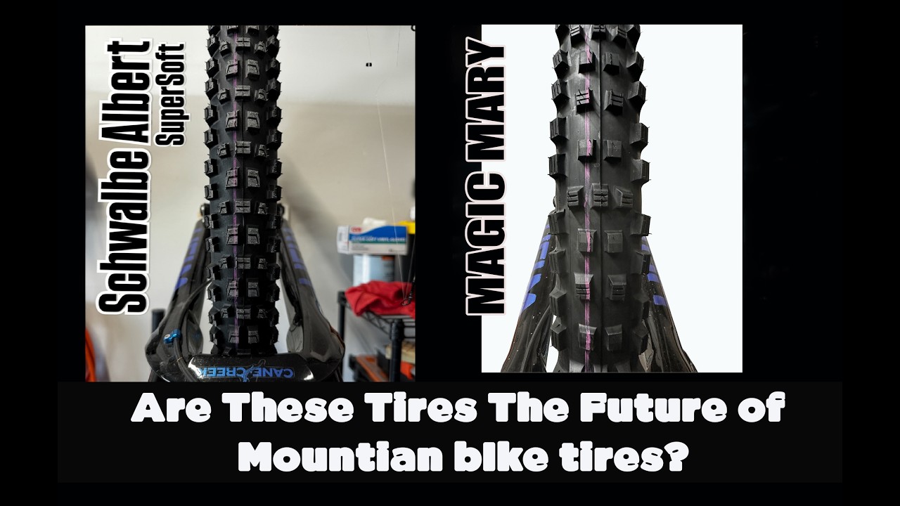 Schwalbe Albert & Magic Mary Long Term Review