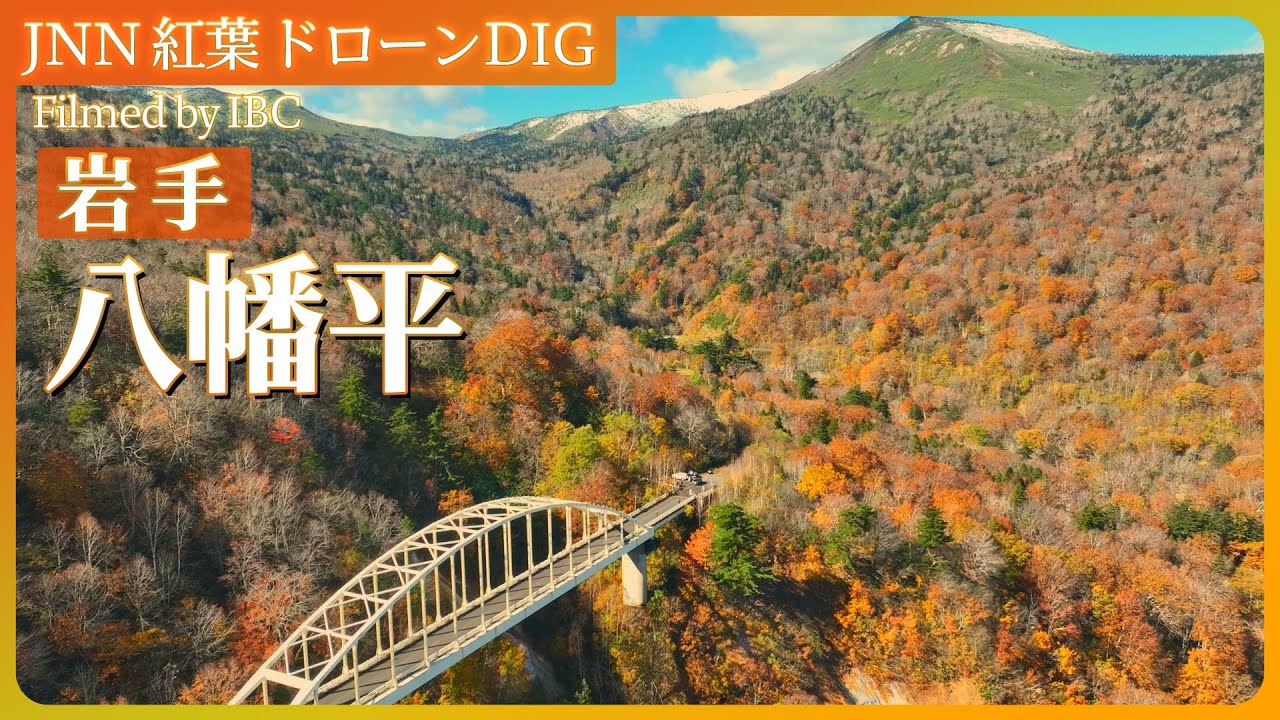 【岩手空中散歩】八幡平の紅葉【JNN 紅葉ドローンDIG】| TBS NEWS DIG