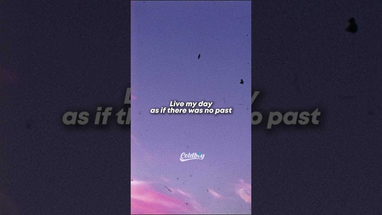 Zara Larsson - Lush Life (Lyrics)