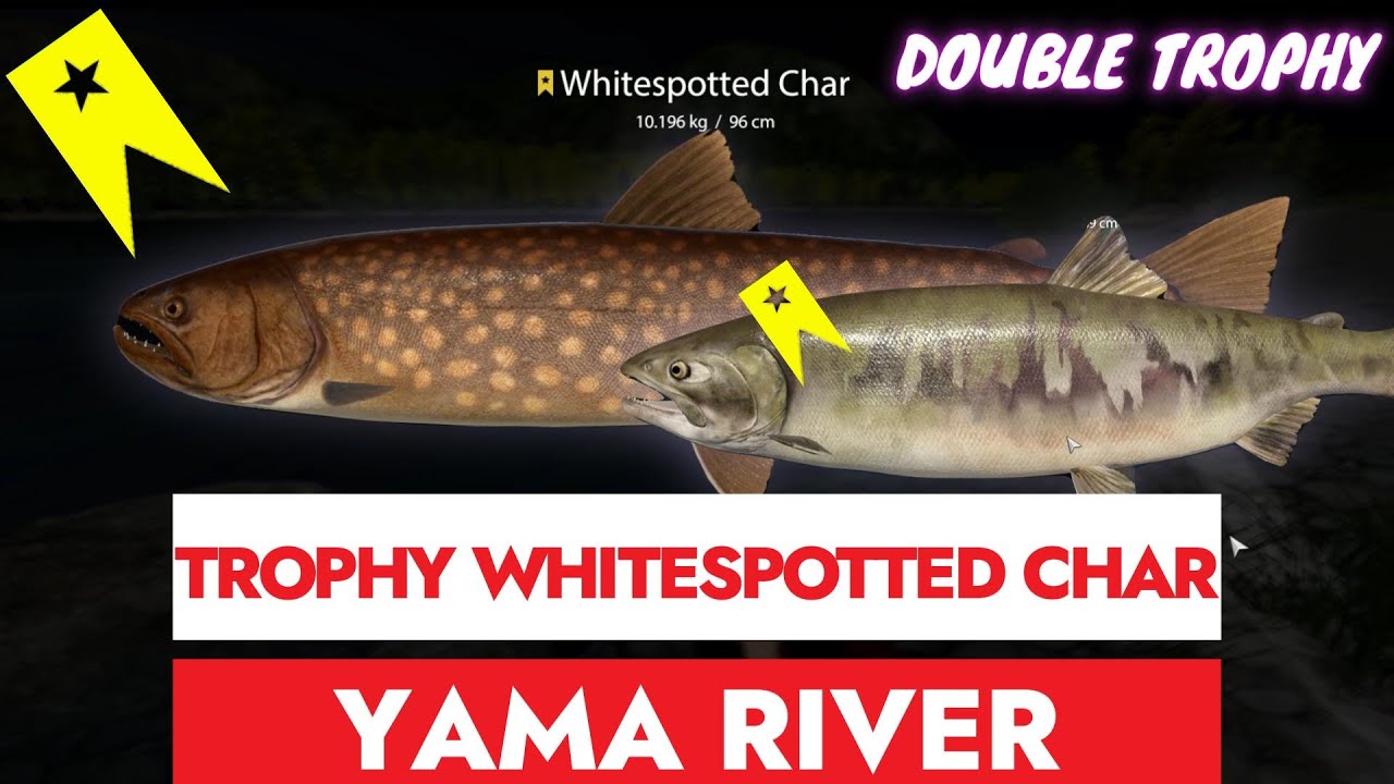 RUSSIAN FISHING 4 - RF4 - TROPHY WHITESPOTTED CHAR - YAMA RIVER DOUBLE TROPHY