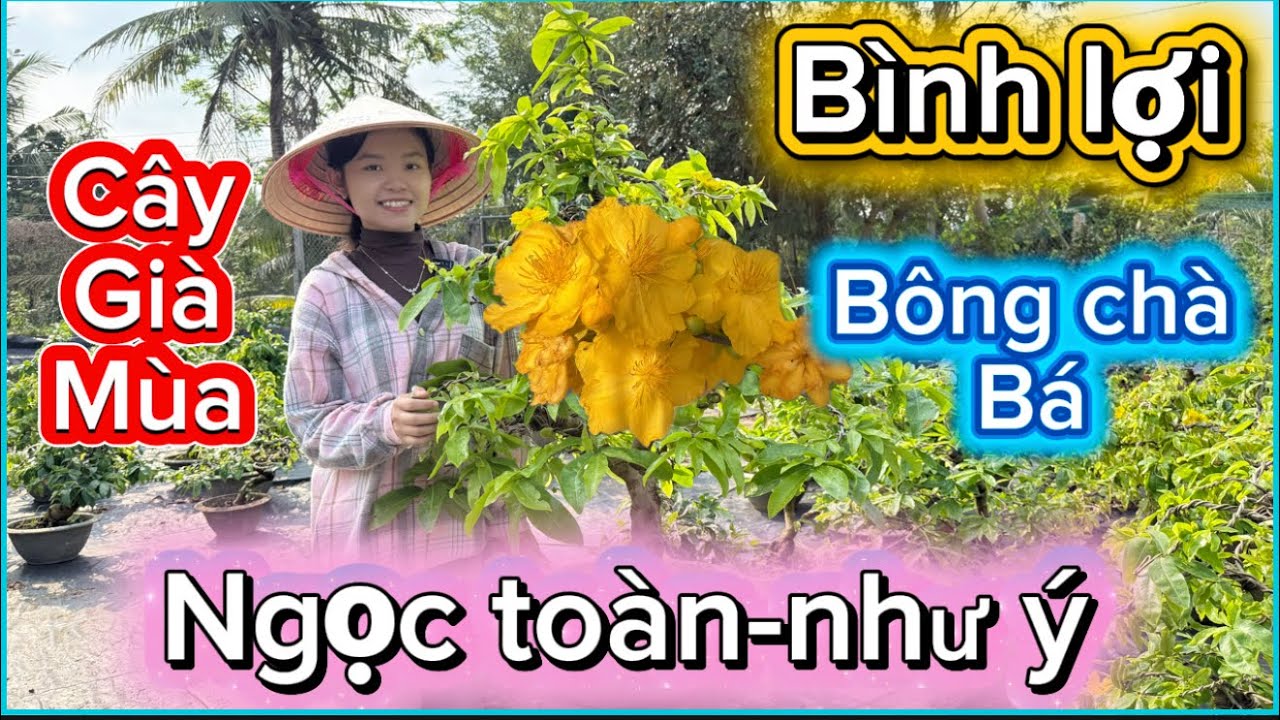 💥20/3☎️0373919774 - NGUYỆT NHI ☎️siêu bông bình lợi-Ngọc toàn-như ý báo mã số 