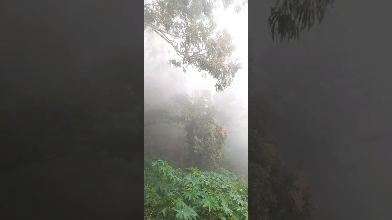 Yercaud travel 🦋❄🌬 | view point | 