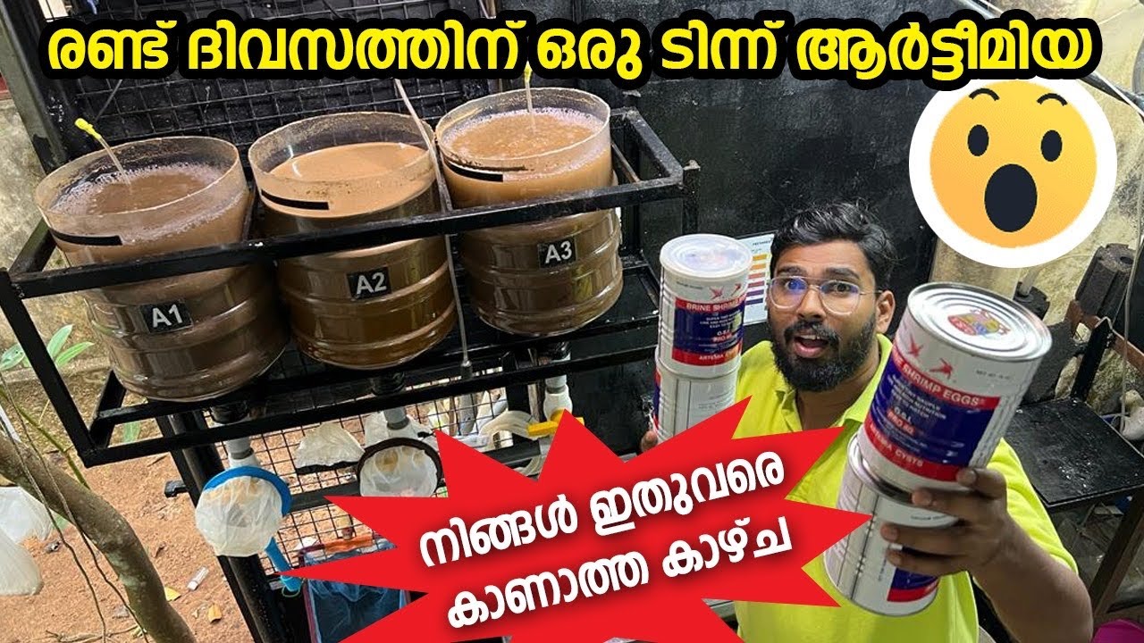 രണ്ട് ദിവസത്തിന് ഒരു ടിന്ന് ആർടീമിയ 😳  Artemia hatching correct method