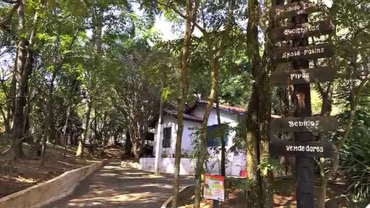 Visita ao Parque Chico Mendes em Osasco