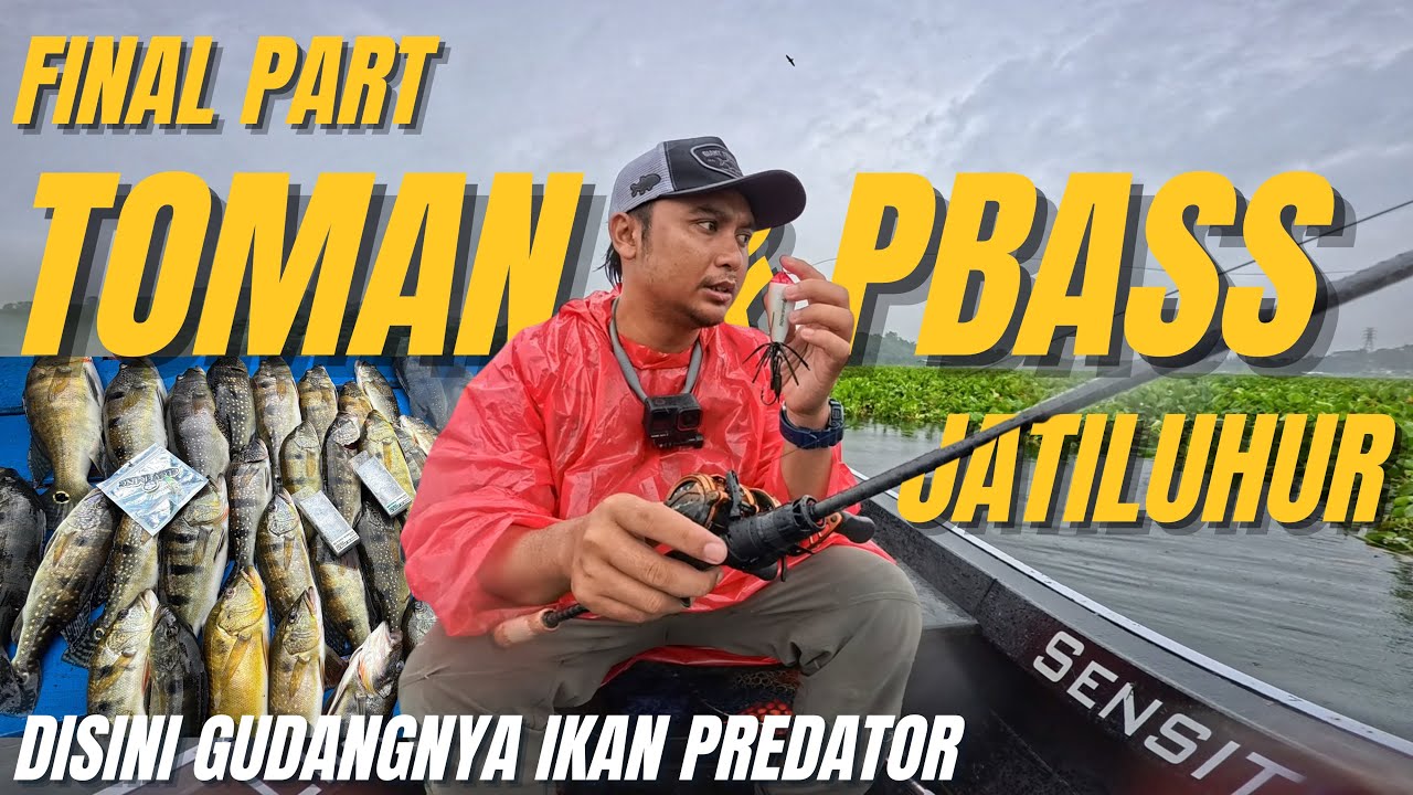 HARI TERAHIR & HASIL AHIR YANG LUARBIASA‼️🔥FINAL TRIP PERBURUAN TOMAN & PBASS WADUK JATILUHUR