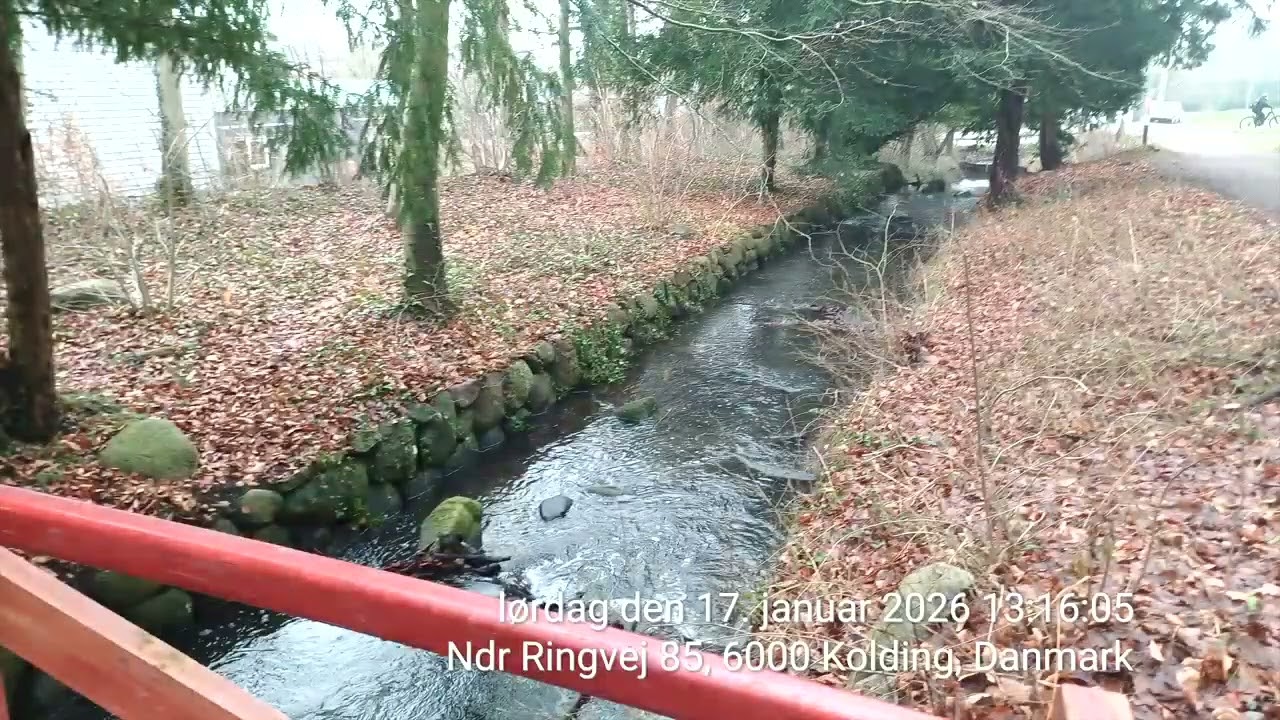 Gåtur marienlund skoven Kolding lørdag 17 januar 2026 film