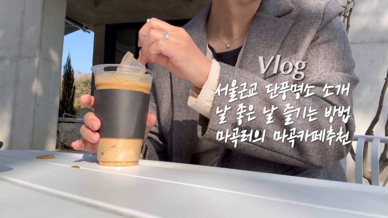 직장인브이로그) 낙엽이우수수 지는 카페, 서울 근교 단풍명소들ㅣ가족들 헤어컷ㅣ독서브이로그, 자기계발 브이로그
