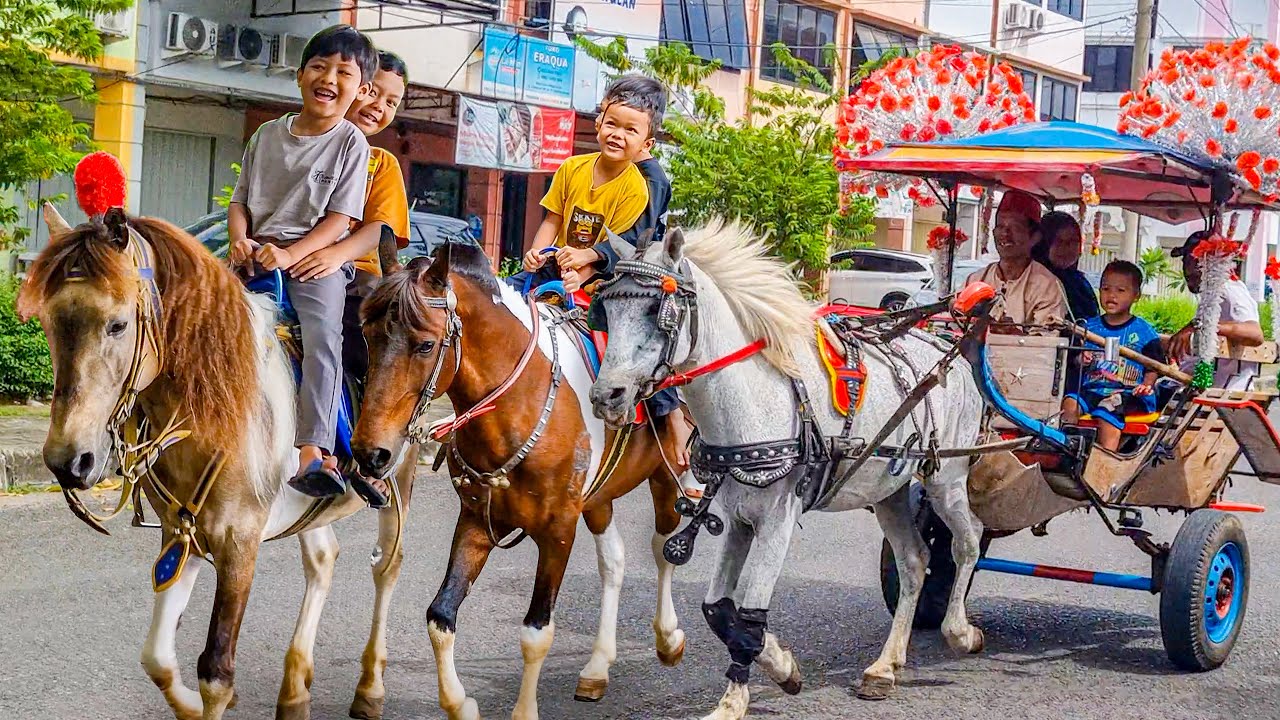 NAIK DELMAN ISTIMEWA | NAIK KUDA DELMAN - KUDA TUNGGANG PUTIH | LAGU ANAK POPULER