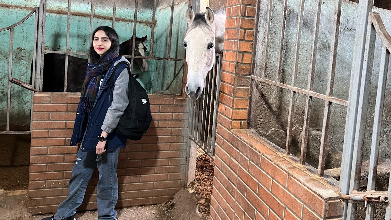 Emotional Village: Simple Traditional Lunch, Horse Riding, and the Joy of Life in Nature