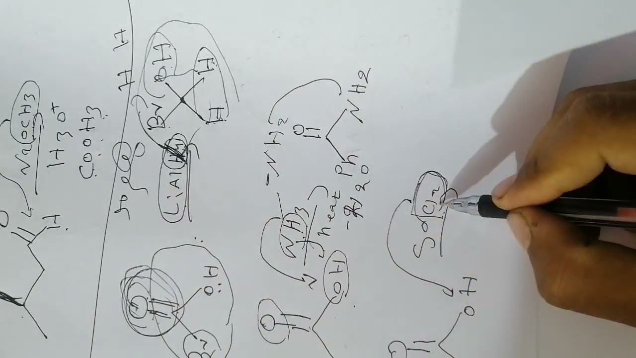 شرح الملف الثالث لطلاب البايو مع حل اسئلة المد لسنة 2024 جزء3 والخير 