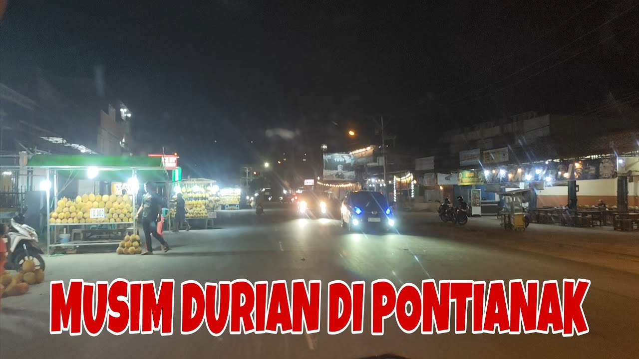 🔴 WAW TERNYATA DI SEPANJANG JALAN PONTIANAK INI BANYAK PENJUAL DURIAN 