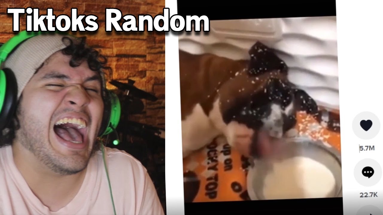 TIKTOKS very RANDOM xd
