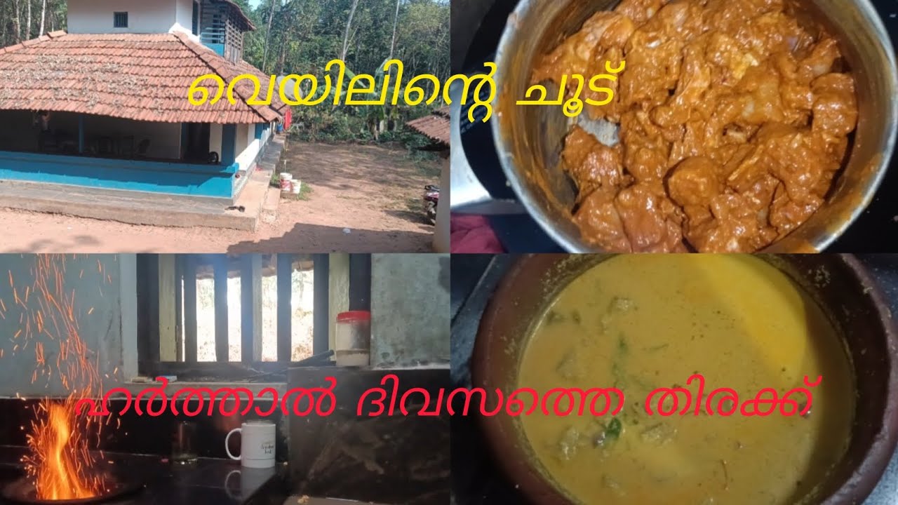 നാട്ടിൻ പുറത്തെ ഒരു നേരം#virelvideo #vire#familytime l 