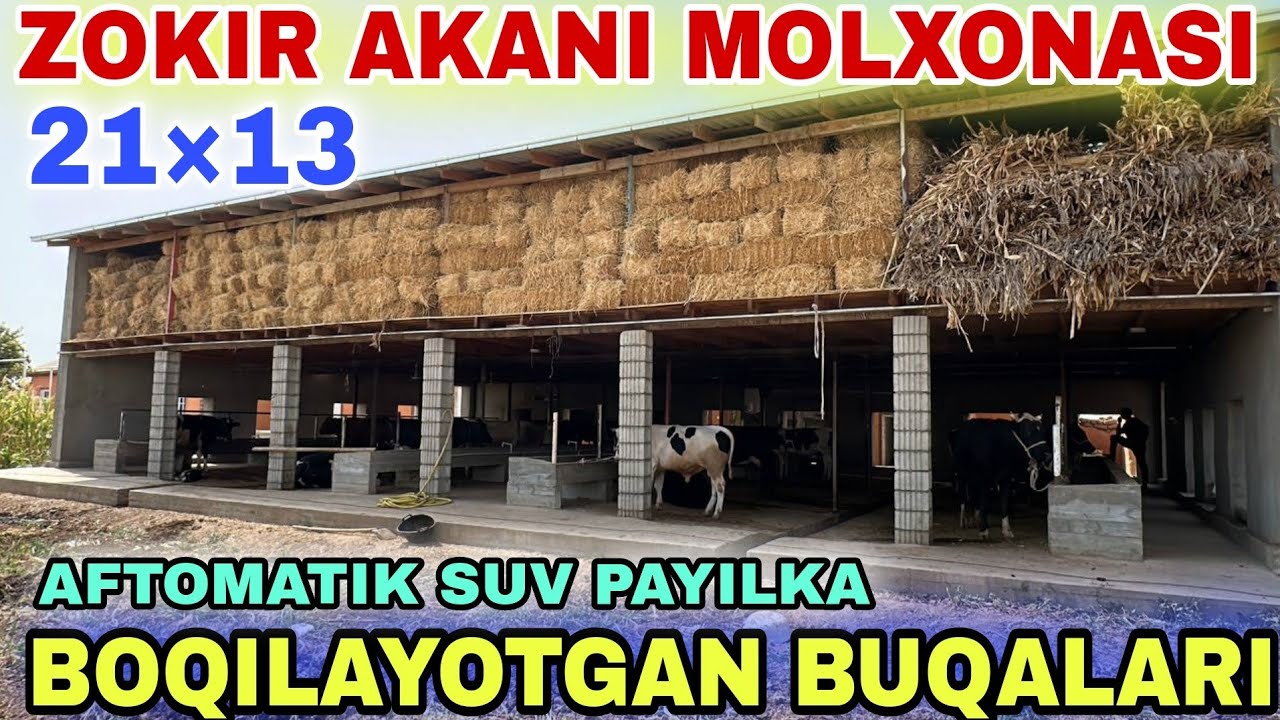 ZAMONAVIY MOLXONA RAZMERLARI AVTOMATIK SUV PAYILKALAR 