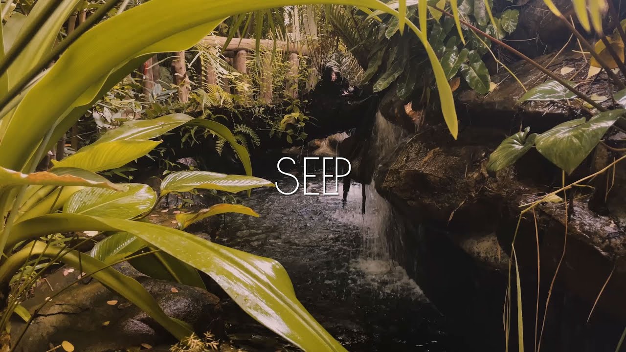 Relaxing Music with Nature Sounds: Peaceful Piano & Guitar | Botanic Cafe Sen Sok