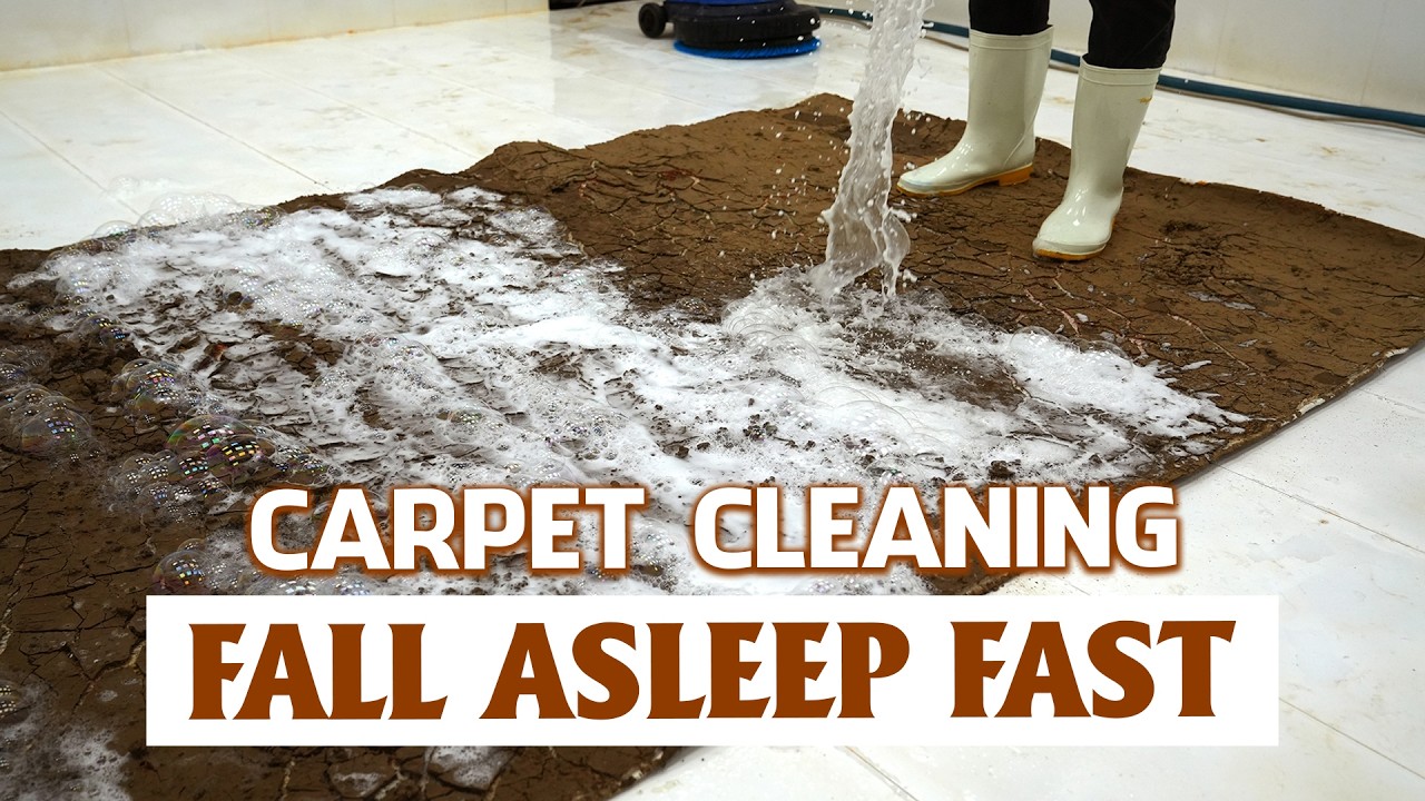 ASMR Carpet Cleaning for Sleep – No Talking Deep Relaxation, Stress Relief, Deep Sleeping