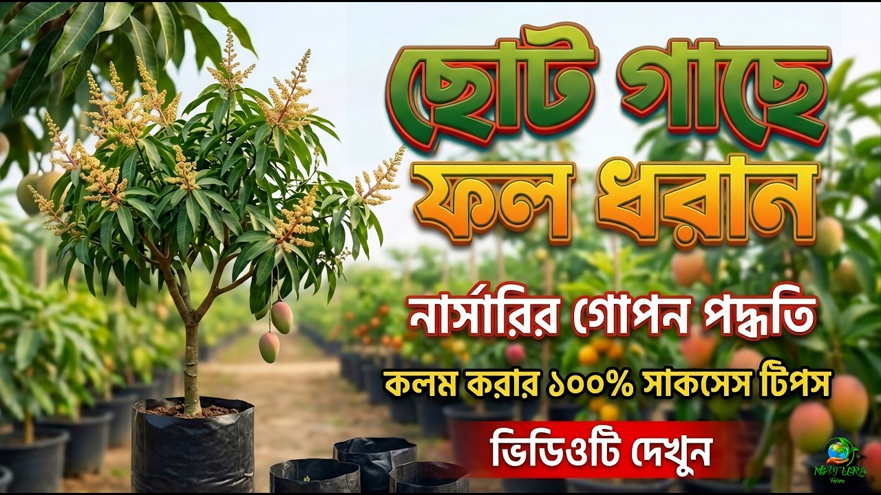 প্রথম থেকে ফল পেতে এইটা করুন ||চারা গাছে ফল ধরাতে এই ভাবে চারা তৈরি করুন ||NATUREfarm