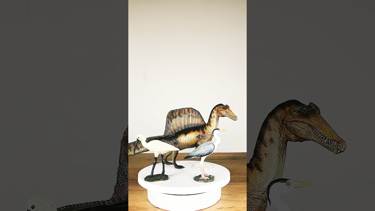 Convergenza Evolutiva #dinosaur