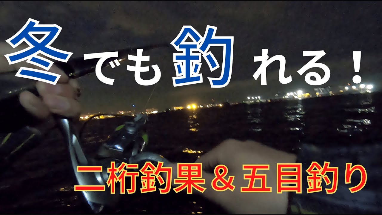 【城南島海浜公園】冬でも釣れる！？鈴鳴りっぱなしの夜！～初心者向けの冬におすすめの釣り方も解説【2020年12月18日】