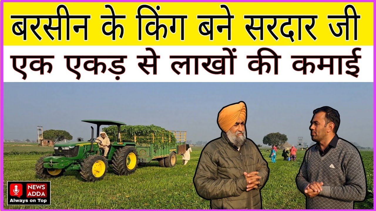 बरसीन के King बने Sardar Ji, एक Acre से लाखों की कमाई