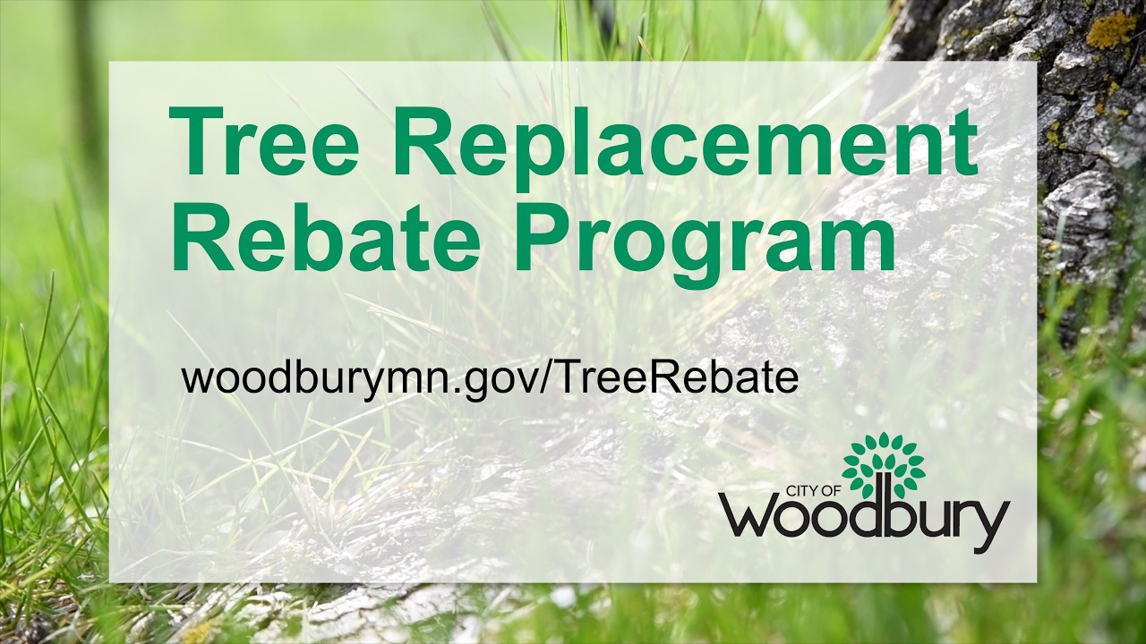 Tree Replacement Rebate Program