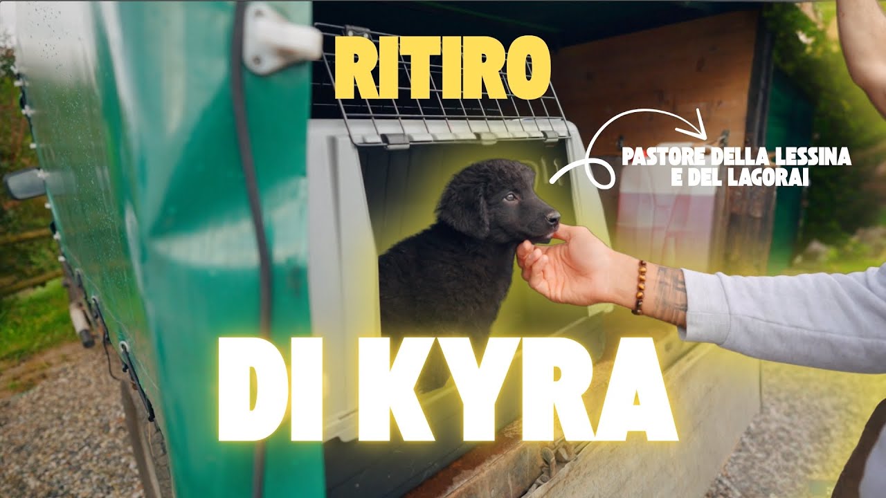 IL RITIRO DI KYRA
