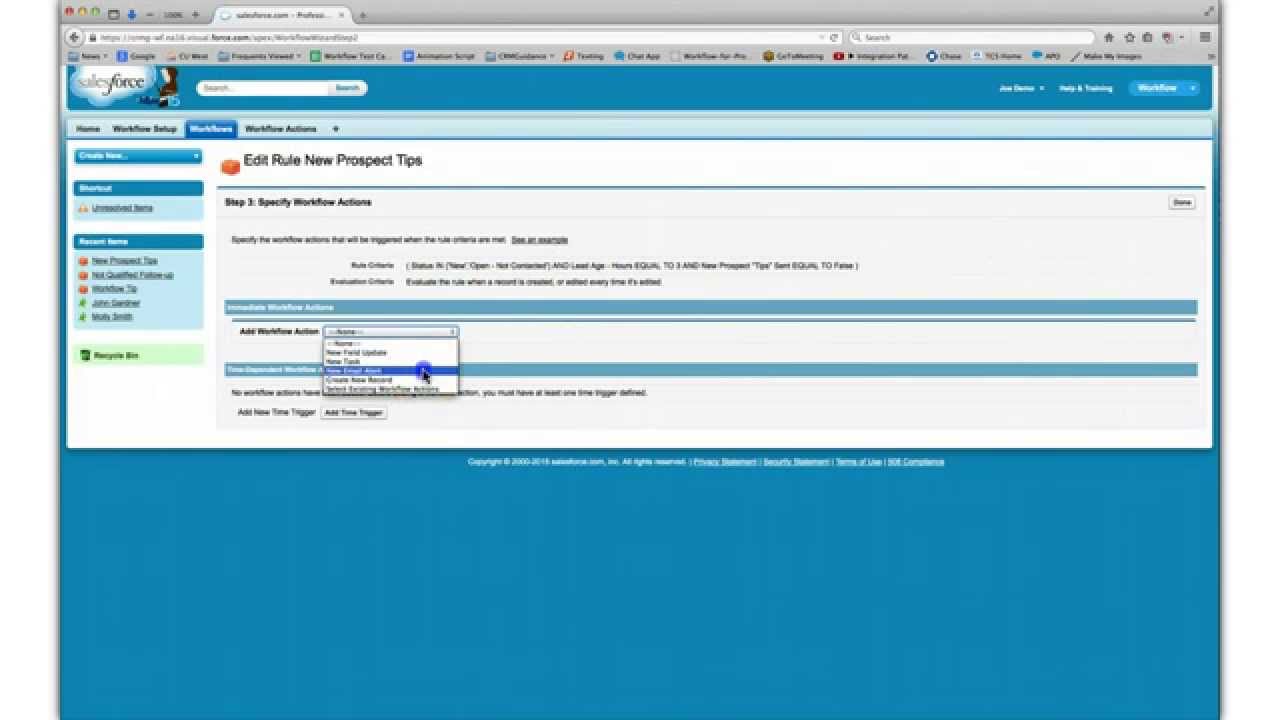 Salesforce Workflow for Professional Edition - Demonstration