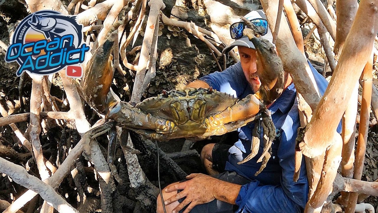 BROOME MUD CRABBERS - INSHORE REEF FISHING \ In Real time & Unedited!