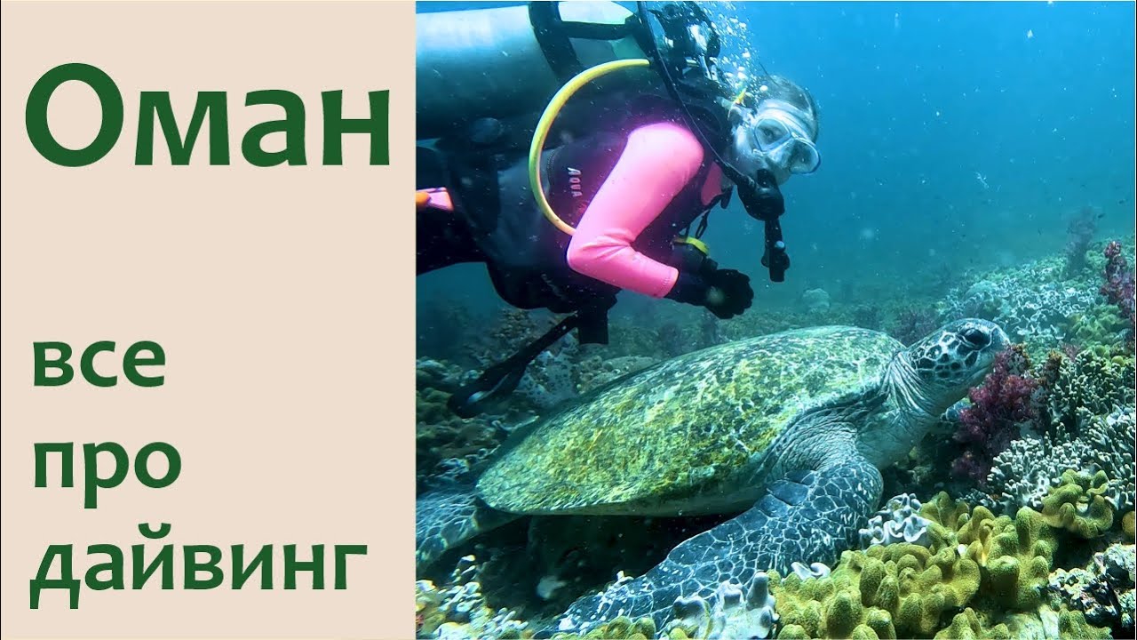 Оман. Лучший дайвинг в Аравийском море и Оманском заливе.
