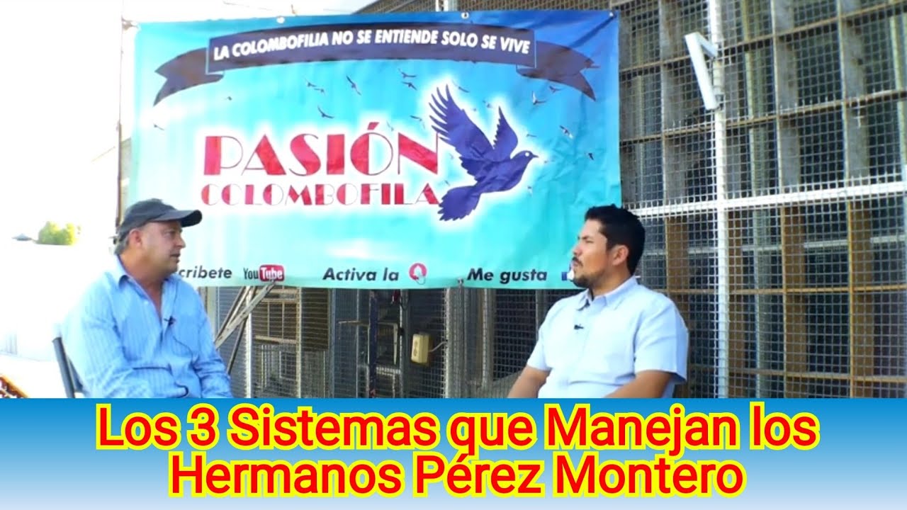 Los 3 Sistemas que Manejan los Hnos  Pérez Montero, Campeones UCDJ Pedriceña Dgo  480km vs 6,544 pal
