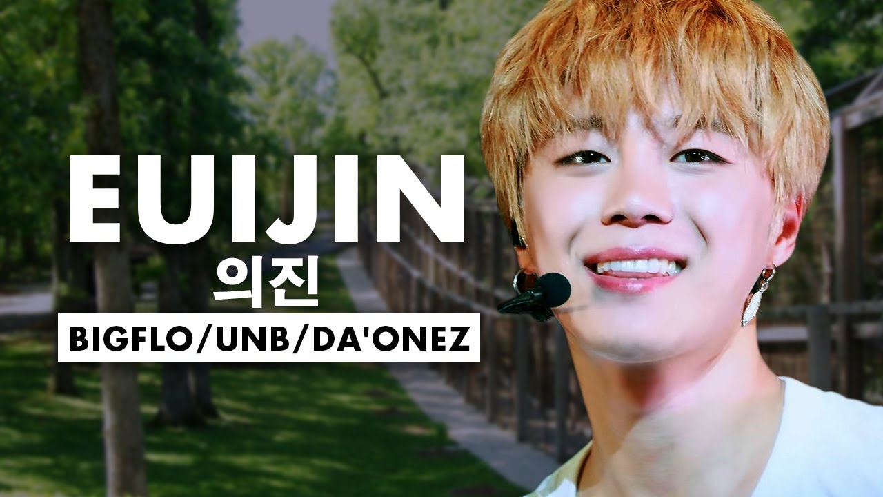 The Untold Truth About BIGFLO / UNB / DA'ONEZ Member - Lee Euijin 의진