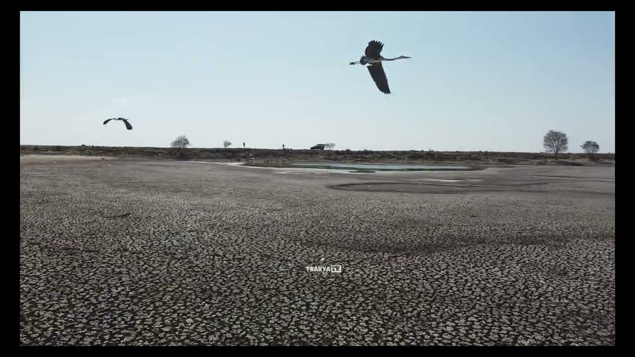 Tekirdağ Saray Çayla gölü ne ne oldu !! SON DAKİKA