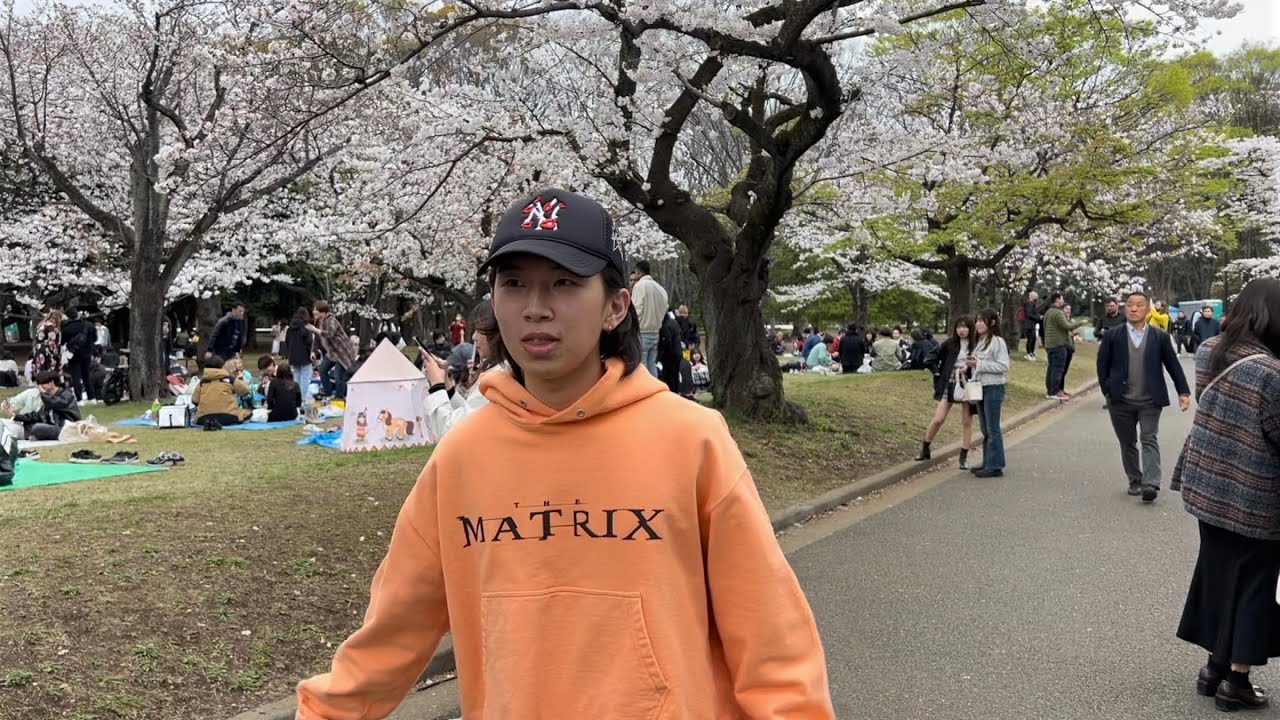 Spring in Japan