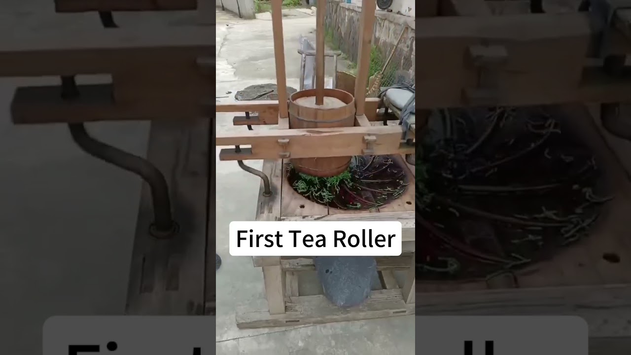 First Tea Rolling Machine #tea #newtea #teafarmer #teatime #teaculture
