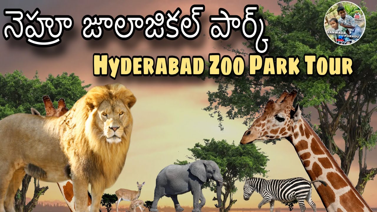 Nehru Zoological Park Hyderabad | Hyderabad Zoo Full Tour | Family Weekend Spot 
