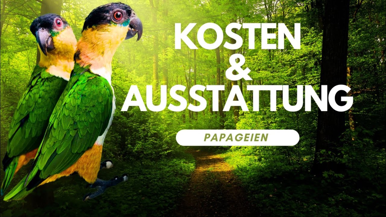 Kosten der Papageien mit Preisangabe