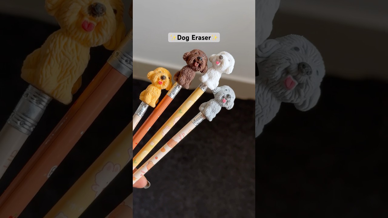 Cutest Doggy Erasers 🐶✨🌷#trending #trendingshorts #dog #doglover #stationery #eraser