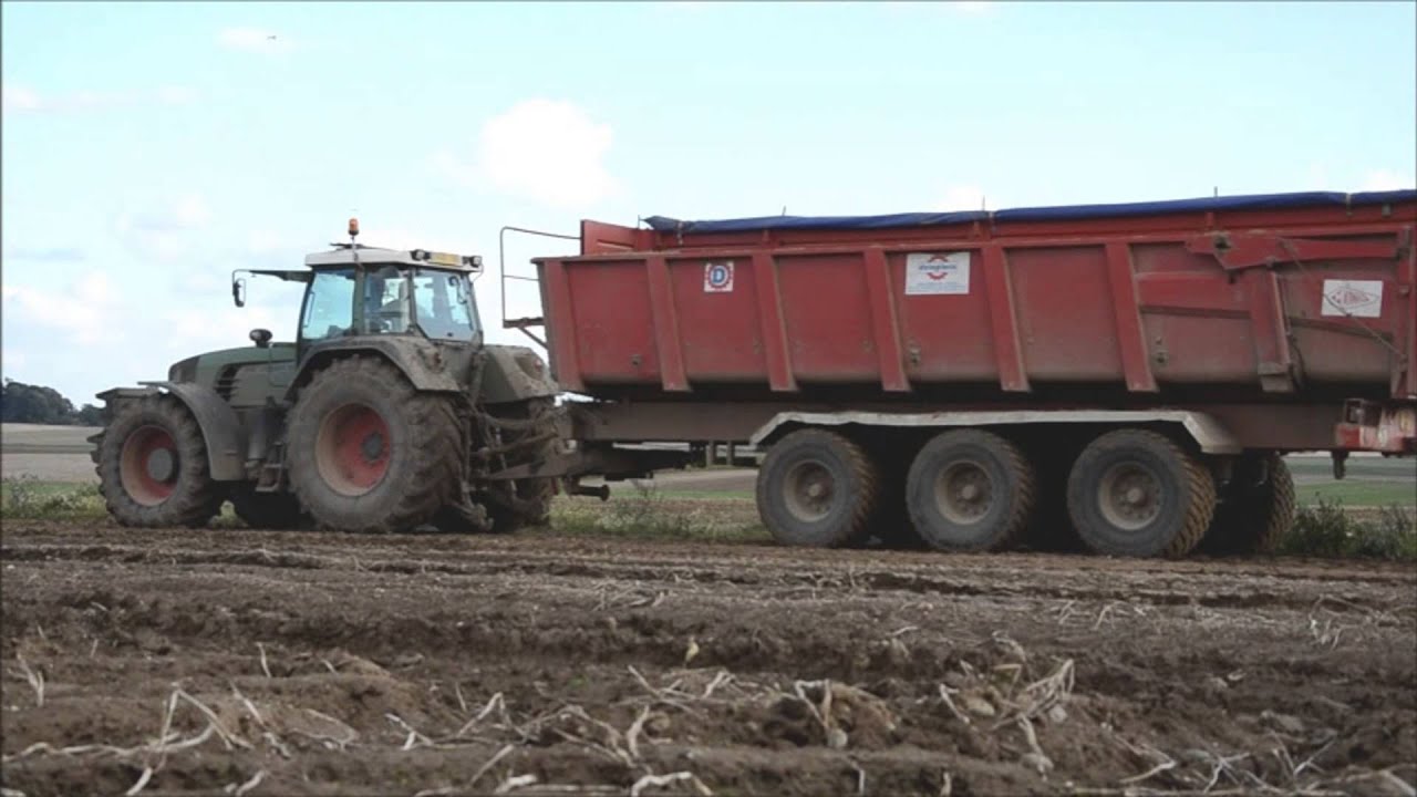 Uprooting potato in France (Arrachage de pommes de terre)