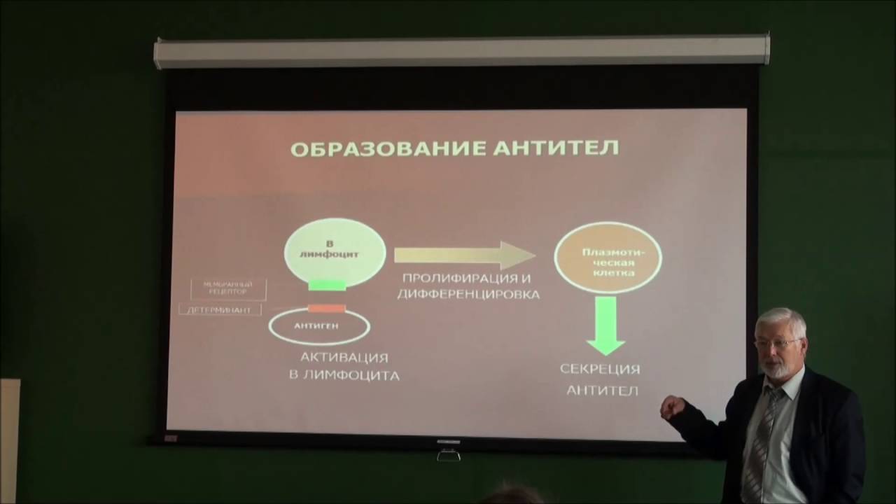 Технологии, основанные на реакциях антиген антитело. Лекция А.Н. Шибанова в МФТИ
