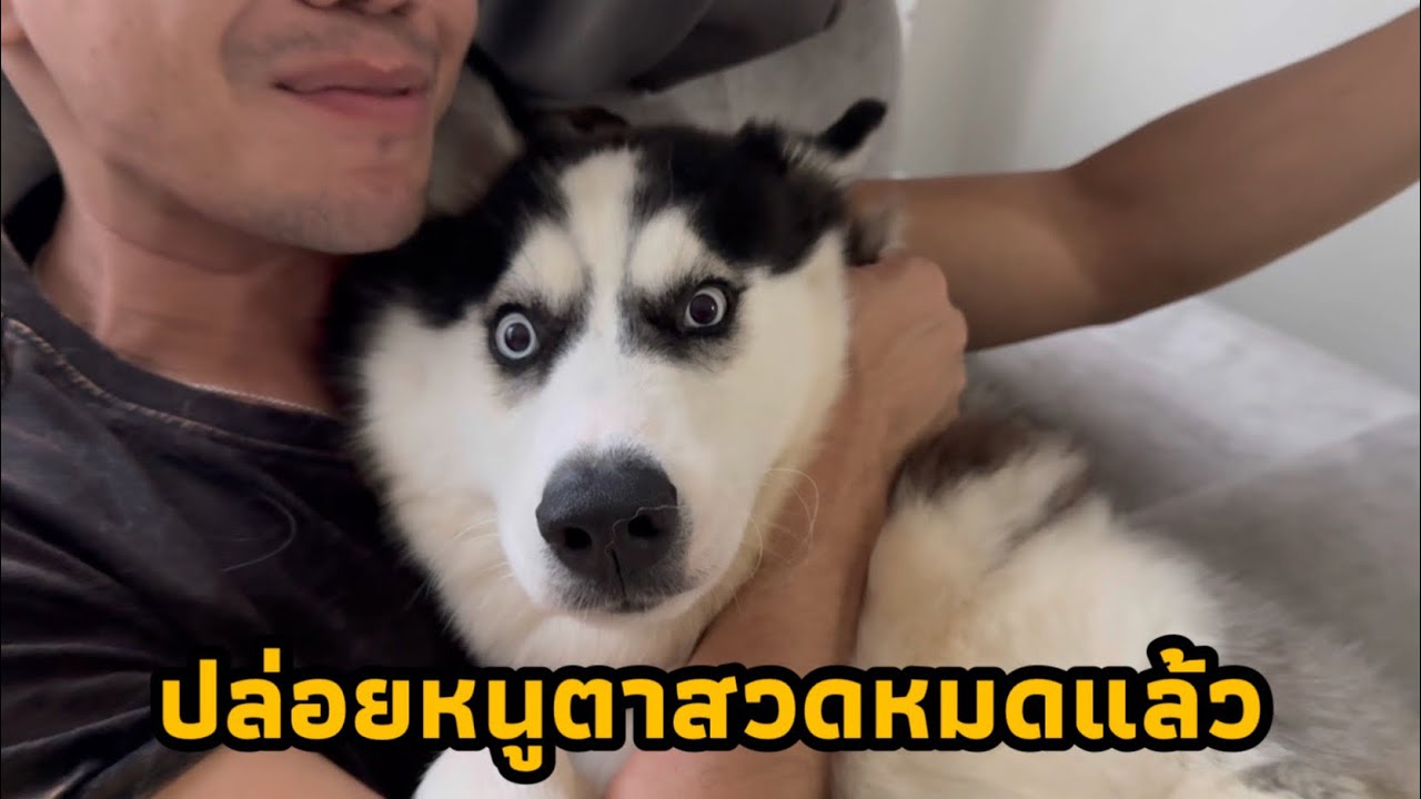 ตอนเด็กบอกว่าไม่รักแล้วตอนนี้จะมาเรียกร้องอะไรกับหนู
