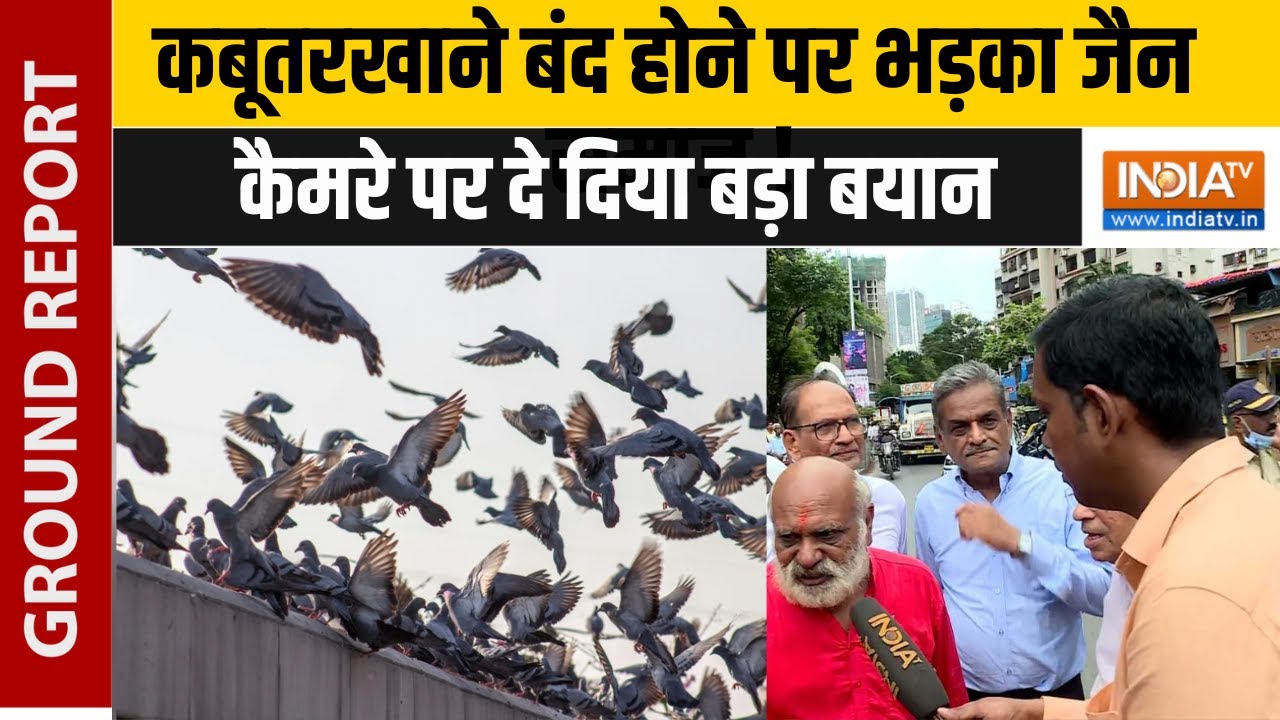 Maharashtra News: कबूतरखाने बंद होने पर भड़का जैन समाज ! कैमरे पर दे दिया बड़ा बयान...