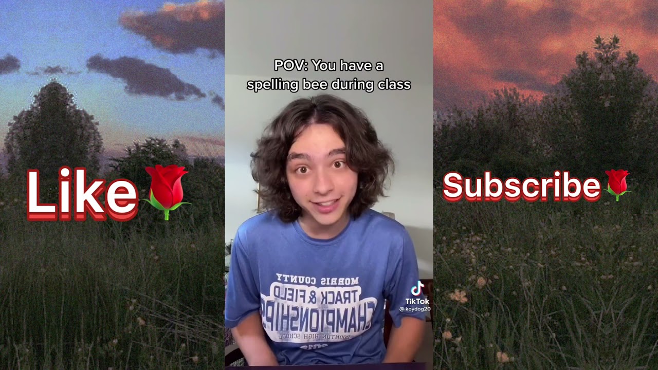 Koydog compilation pt2