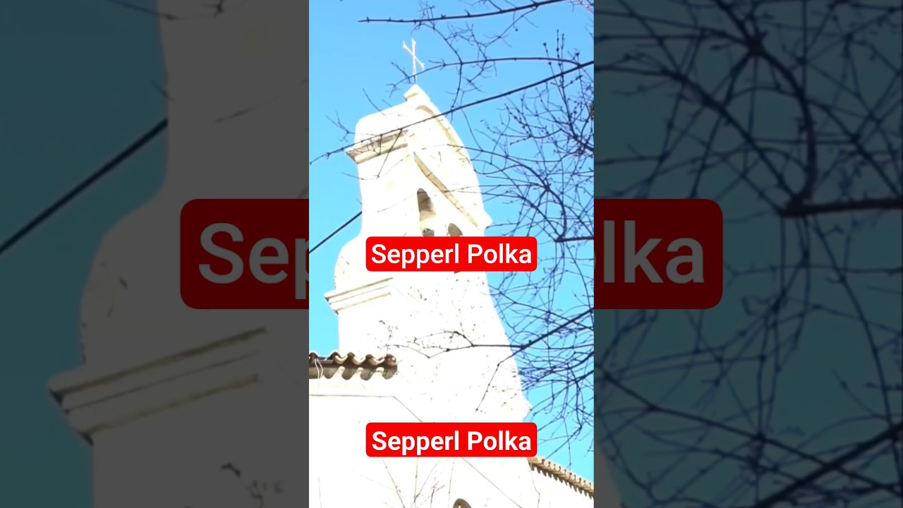 Sepperl Polka #steirischeharmonika #shorts