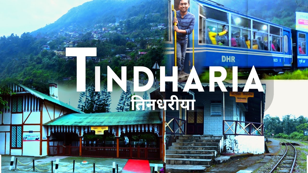 TINDHARIA | तिनधरीया |  Darjeeling Himalayan Railway