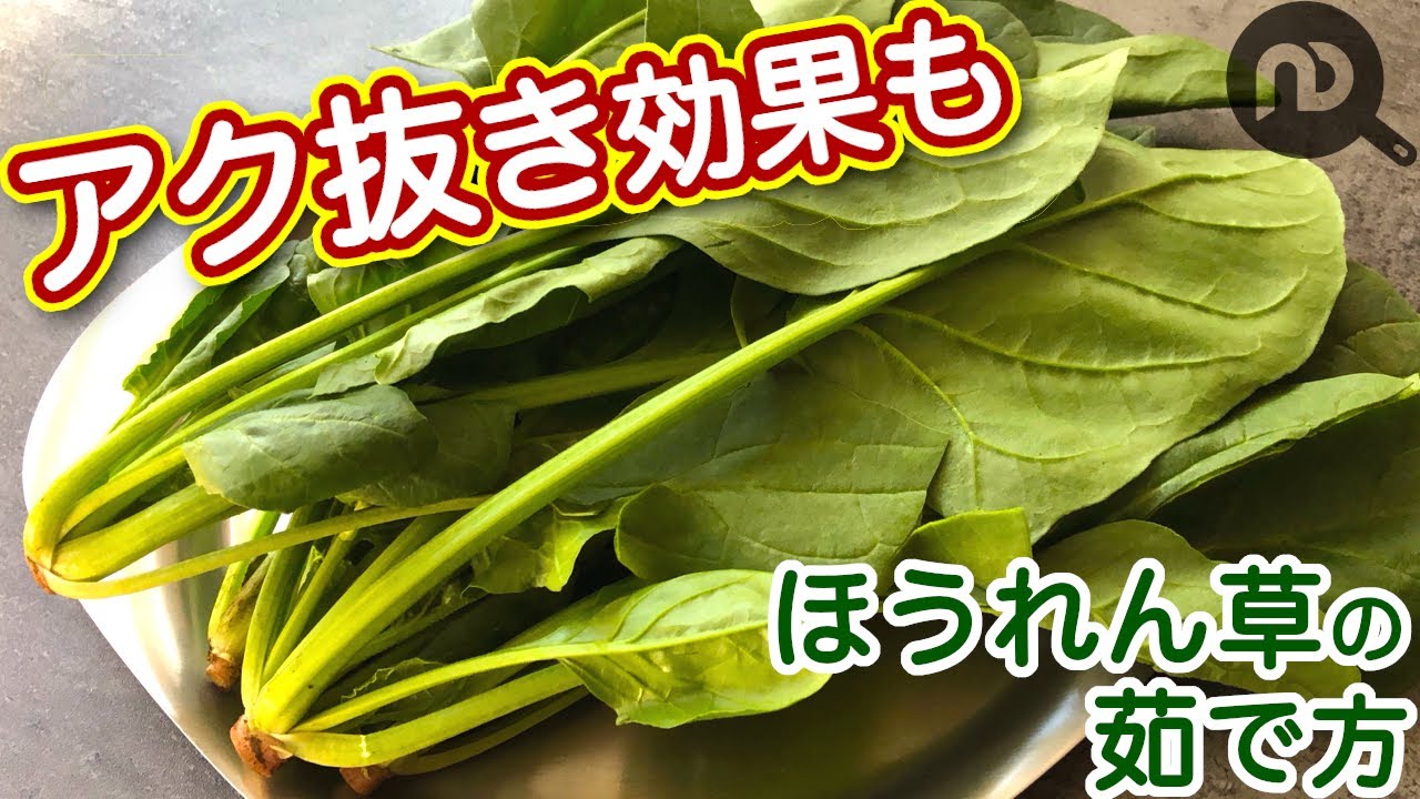 ほうれん草のゆで方と洗い方　N.D.Kitchen Basic
