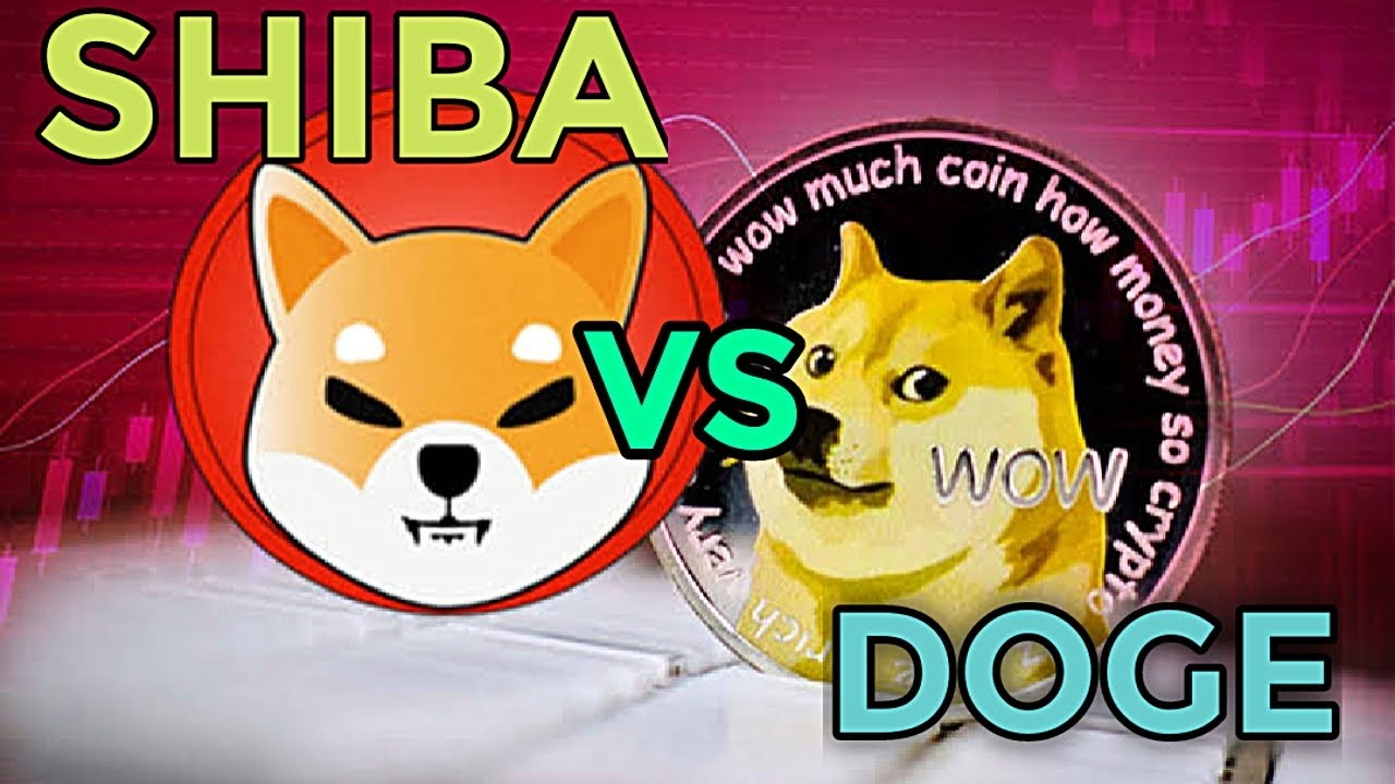 Shiba is a Dogecoin Killer | Watch and Find out | Crypto Relic