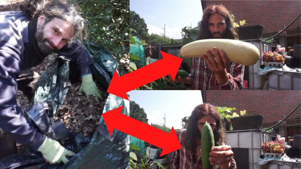 HOW TO MAKE LEAFMOULD SUBSTITUTE QUICK WITH PROOF IT WORKS!