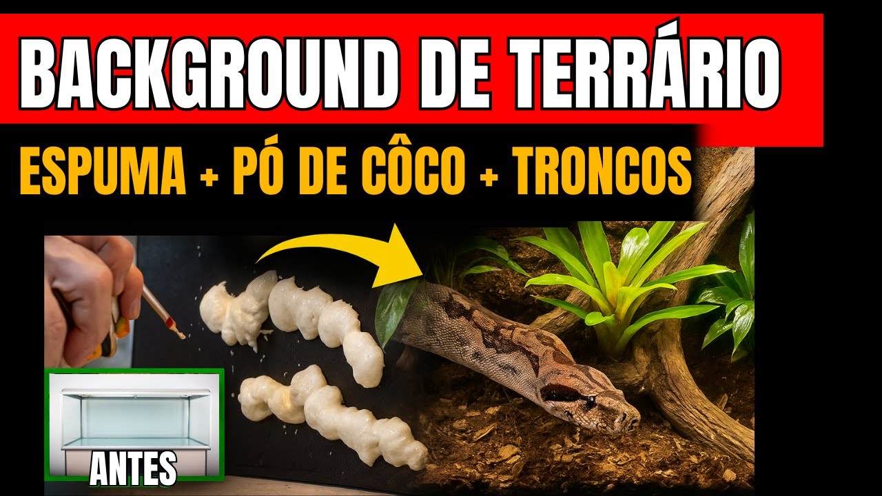 Background de TERRÁRIO passo a passo #snake #jiboia #cobra