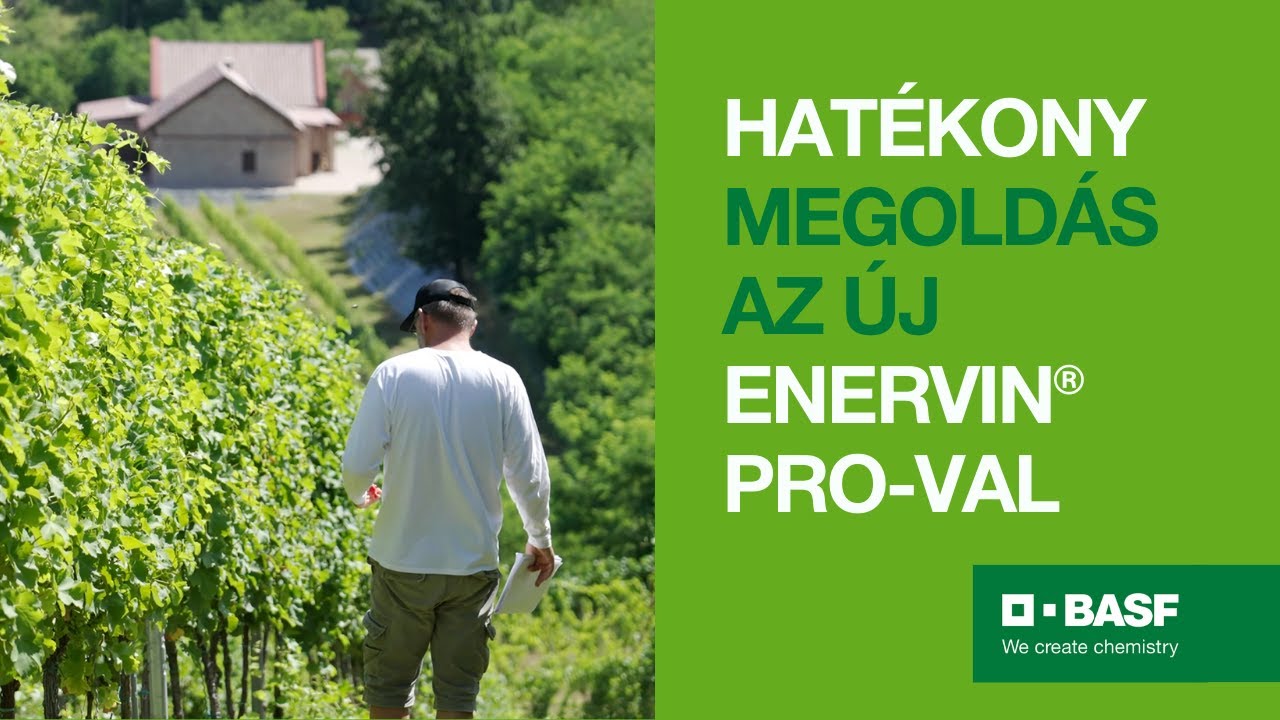Enervin® Pro: Új, hatékony megoldással bővült a szőlővédelmi technológiánk